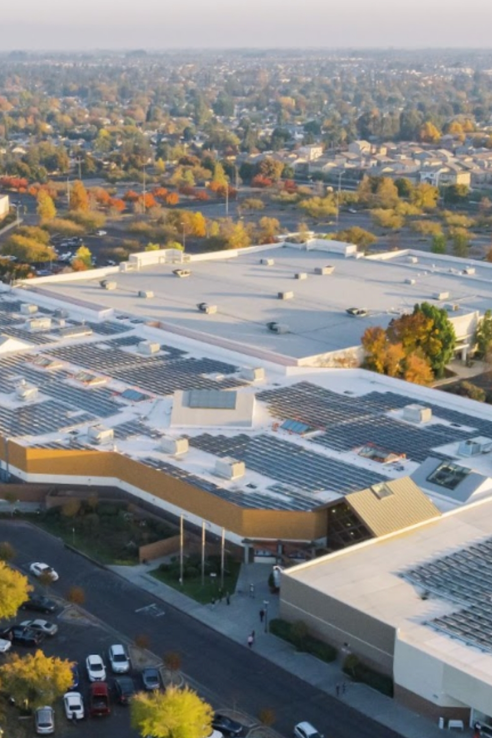 Sustainability Benefits Of Commercial And Industrial Solar