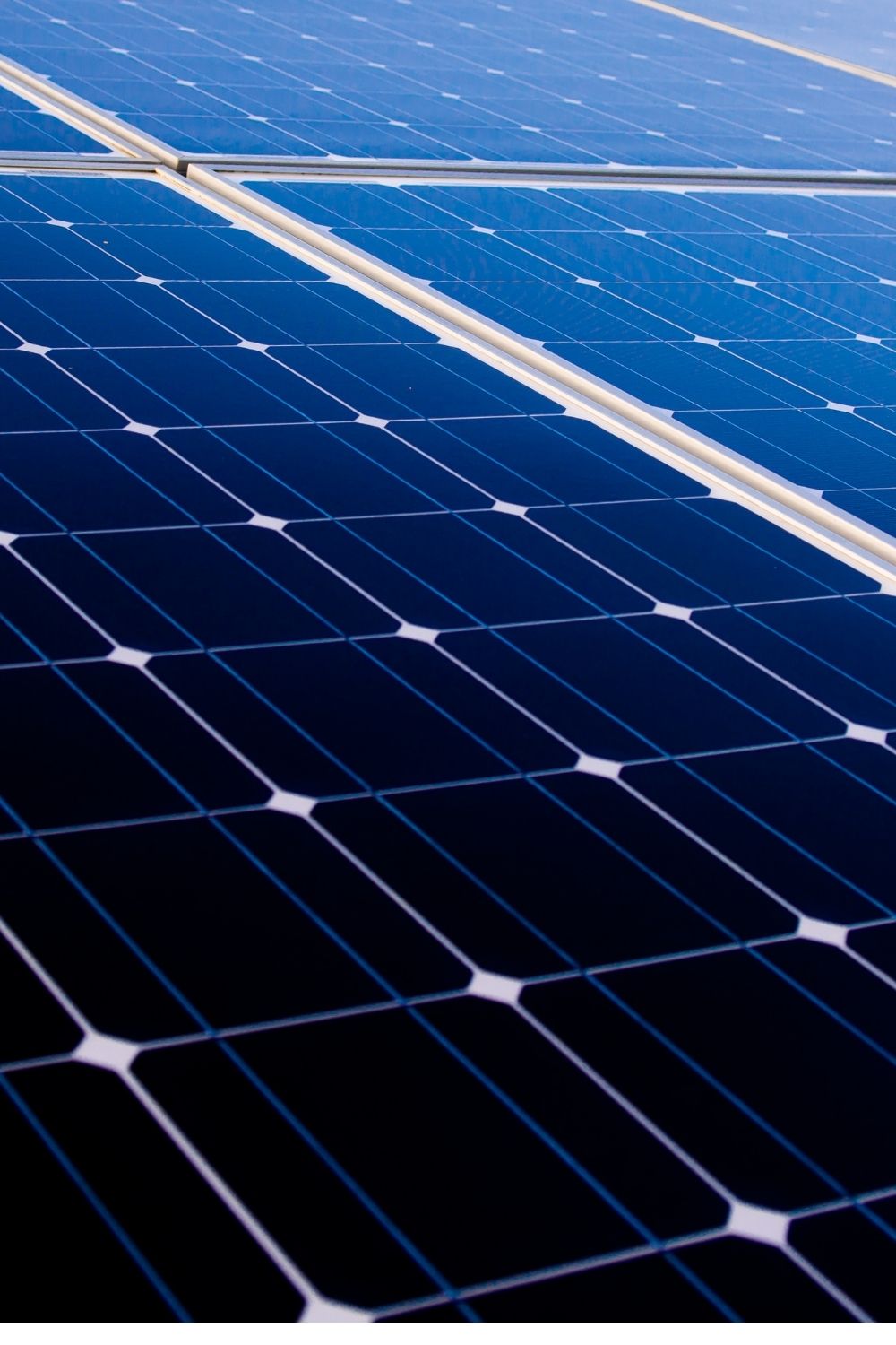 Maryland Signals Long-Term Support for Community Solar