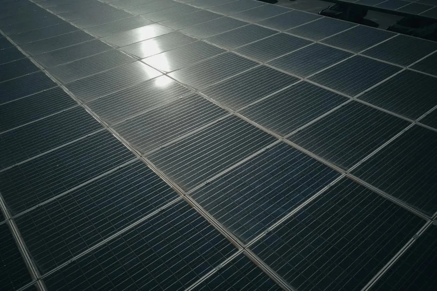 Best Properties for Multi-Tenant Solar: What Owners Should Know